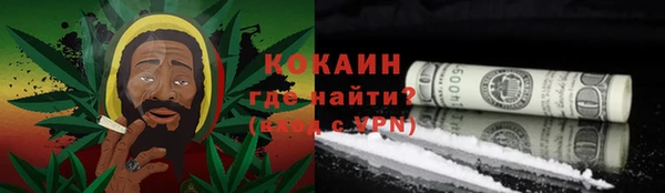 кокс Гусев