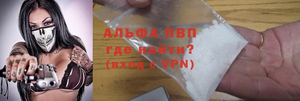 кокс Гусев