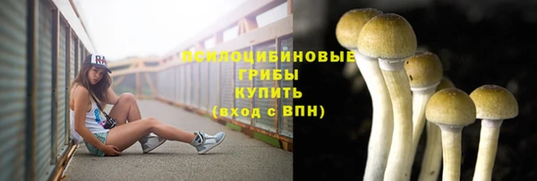 первитин Гусиноозёрск