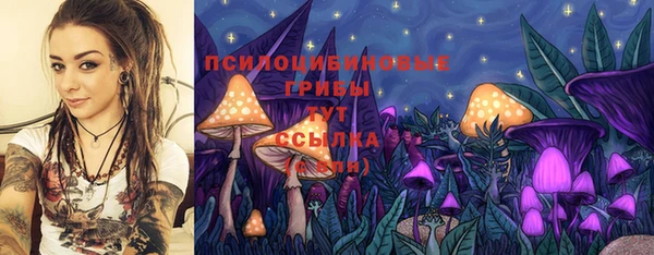 первитин Гусиноозёрск