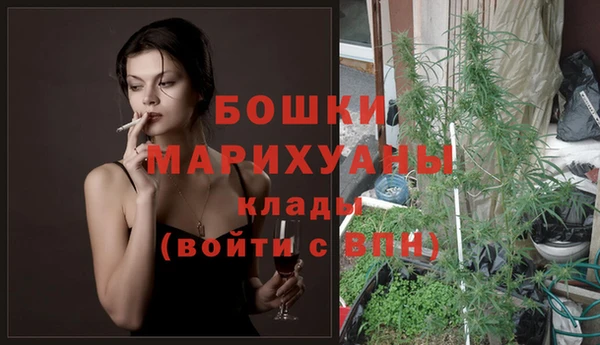 кокс Гусев
