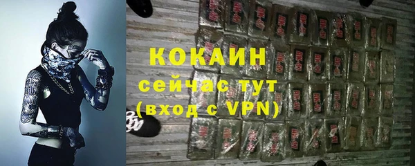 кокс Гусев