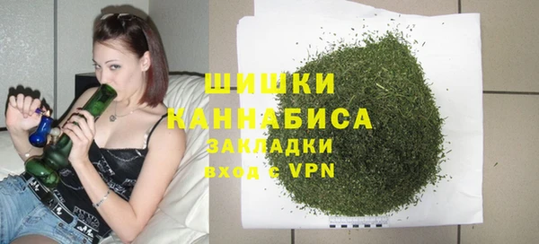 кокс Гусев